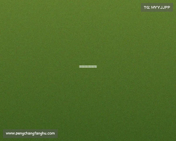 《追梦启航：电竞新殿堂》